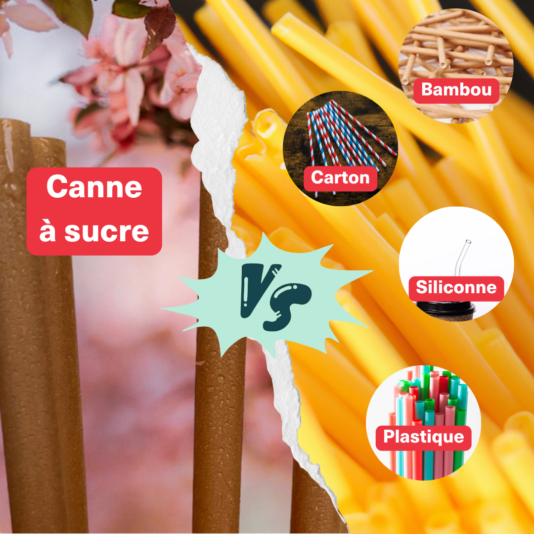 Options pailles écologiques