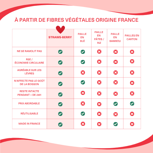 Comparatif des pailles réutilisables en fibres végétales françaises Straws-Berry vs pailles en blé, bambou et carton : résistance, confort, goût, réutilisation et origine France