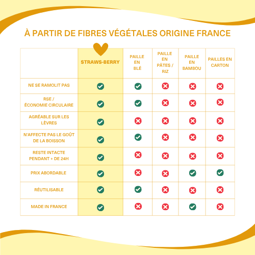Comparatif des pailles Straws-Berry face aux alternatives en blé, pâtes, riz, bambou et carton
