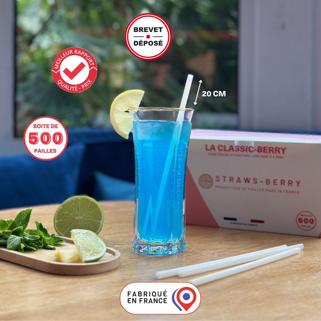 Vue détaillée de la paille classique réutilisable Straws-Berry en fibre végétale française