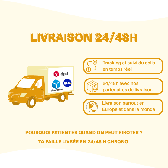 camion de livraison 24/48h avec logo dpd , chronopost et GLS. Tracking et suivi du colis en temps réel + livraison partout en Europe et dans le monde