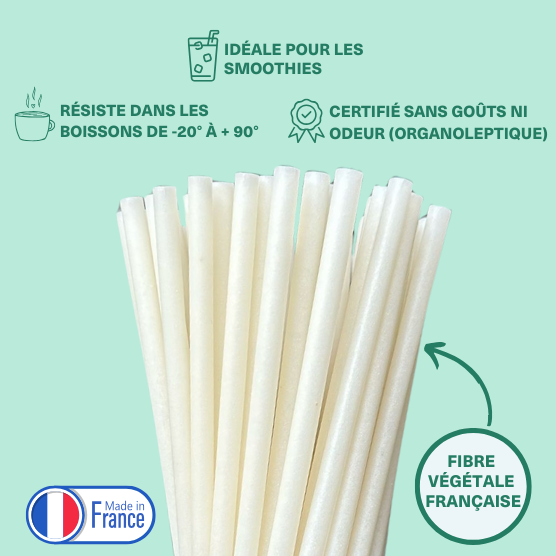 paille à boire blanche en fibre végétale française sur fond vert